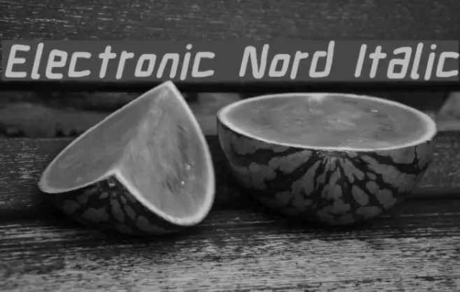 Electronic Nord Italic Font examples