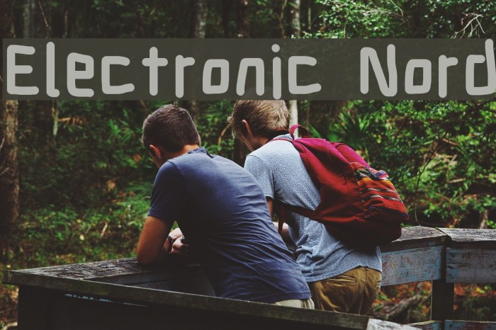 Electronic Nord Example 1