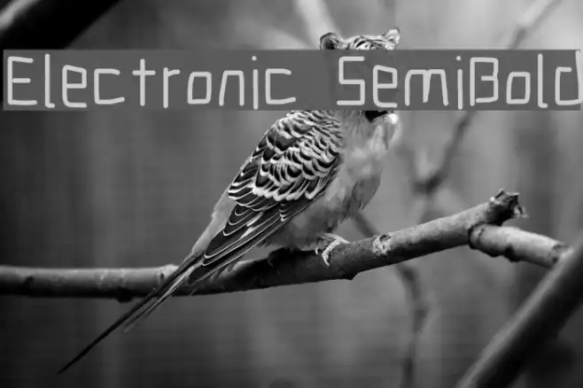 Electronic SemiBold Example 3