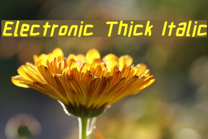 Electronic Thick Italic Font examples