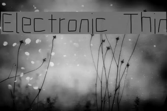 Electronic Thin Example 2