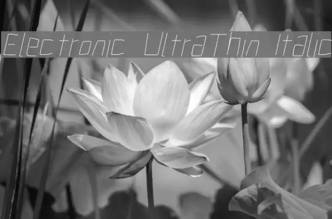 Electronic UltraThin Italic Font examples