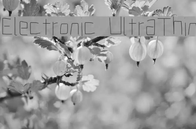 Electronic UltraThin Example 3