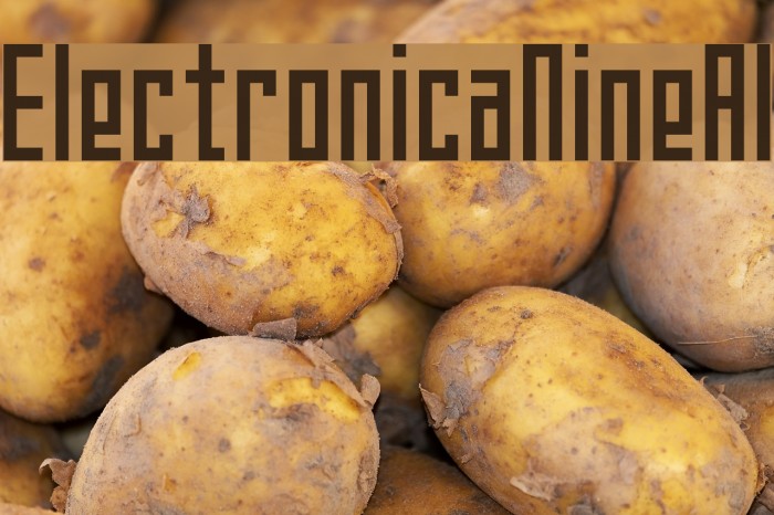 ElectronicaNineAl Example 1