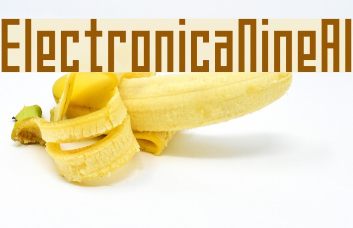 ElectronicaNineAl Example 2