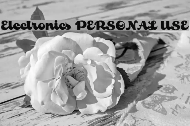 Electronics PERSONAL USE Font examples