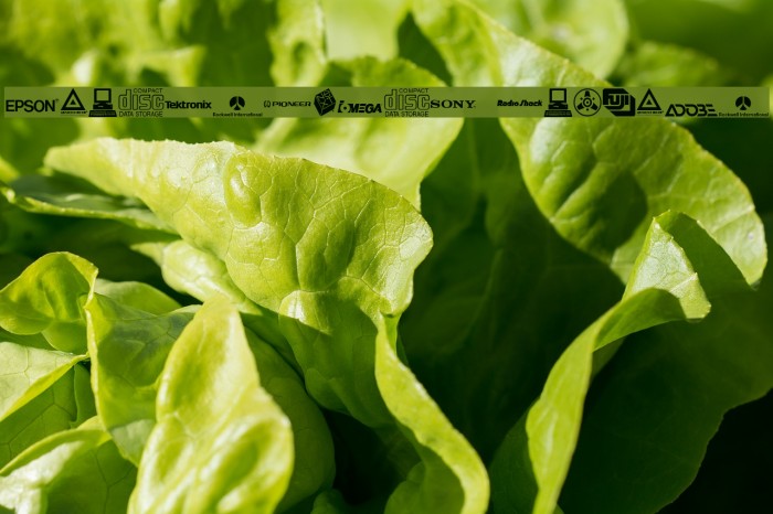 Electronics Regular Example 1