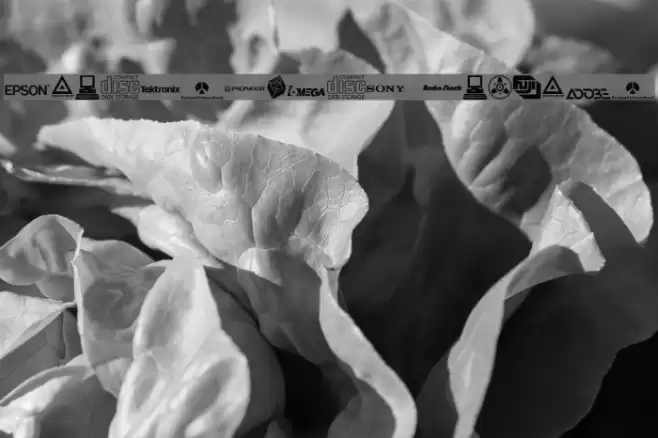 Electronics Regular Font examples