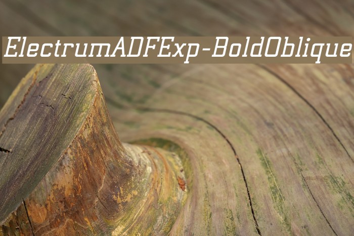 ElectrumADFExp-BoldOblique Font examples
