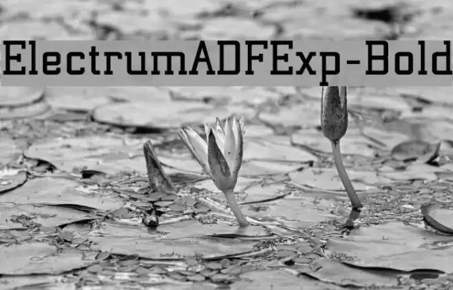 ElectrumADFExp-Bold Font examples