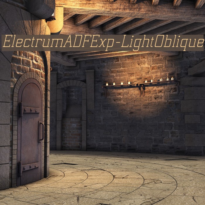 ElectrumADFExp-LightOblique Font examples