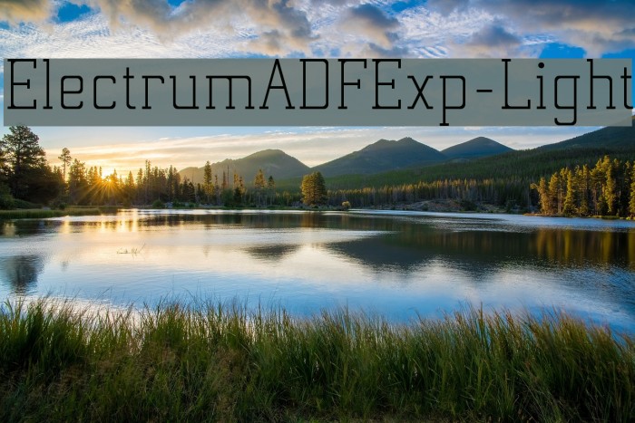 ElectrumADFExp-Light Example 3