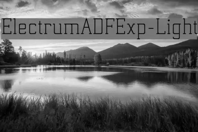 ElectrumADFExp-Light Font examples