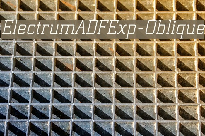 ElectrumADFExp-Oblique Font examples