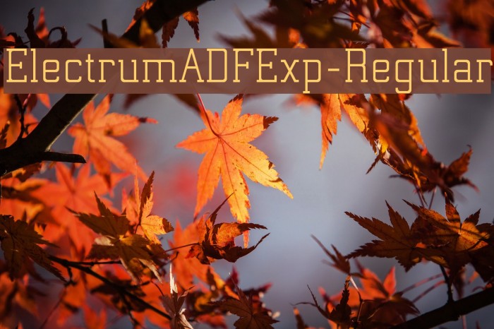 ElectrumADFExp-Regular Font examples
