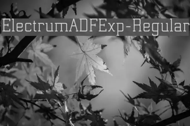 ElectrumADFExp-Regular Example 1