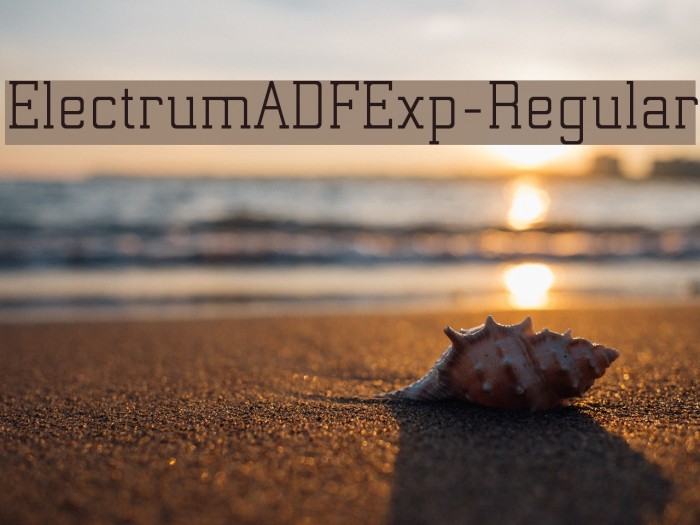 ElectrumADFExp-Regular Font examples