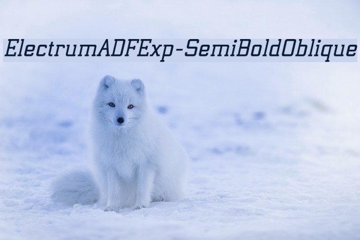 ElectrumADFExp-SemiBoldOblique Font examples