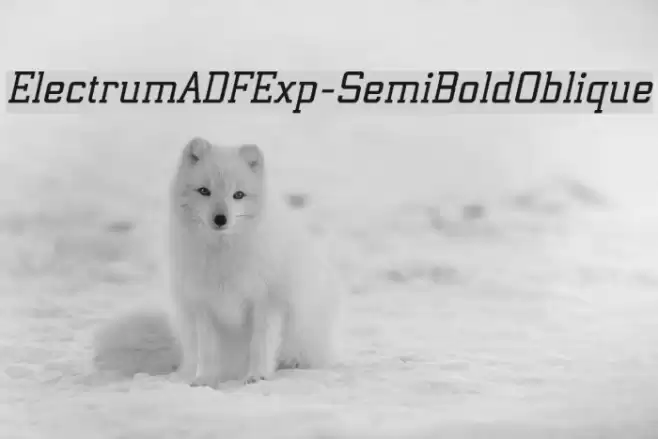 ElectrumADFExp-SemiBoldOblique Font examples