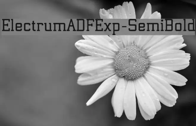 ElectrumADFExp-SemiBold Example 1
