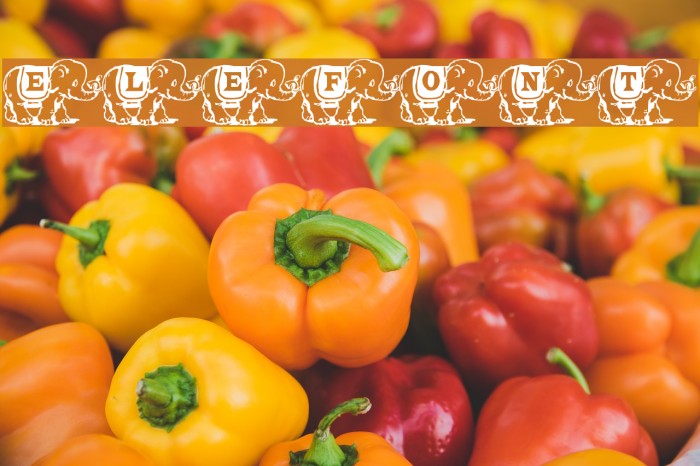 Elefont Font examples