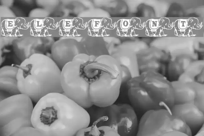 Elefont Font examples