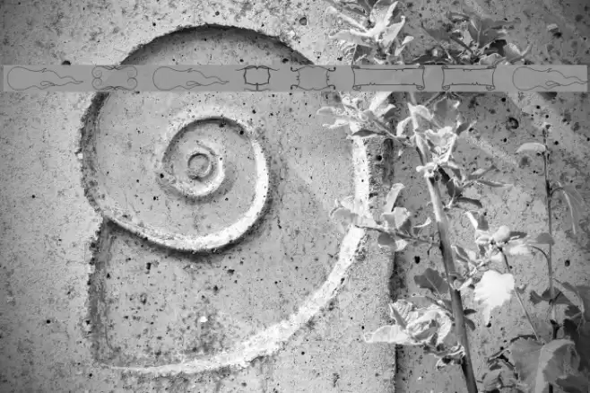 Elegance Font examples