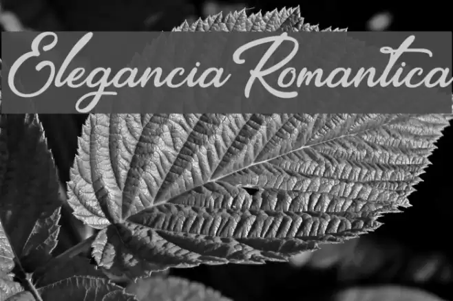 EleganciaRomantica Font examples