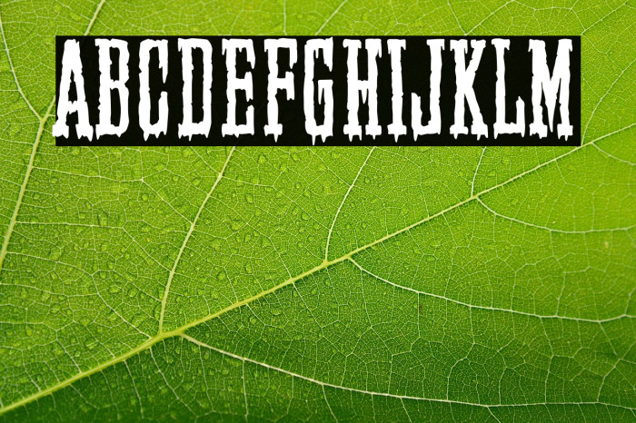 Elegant & Creepy Company Example 3