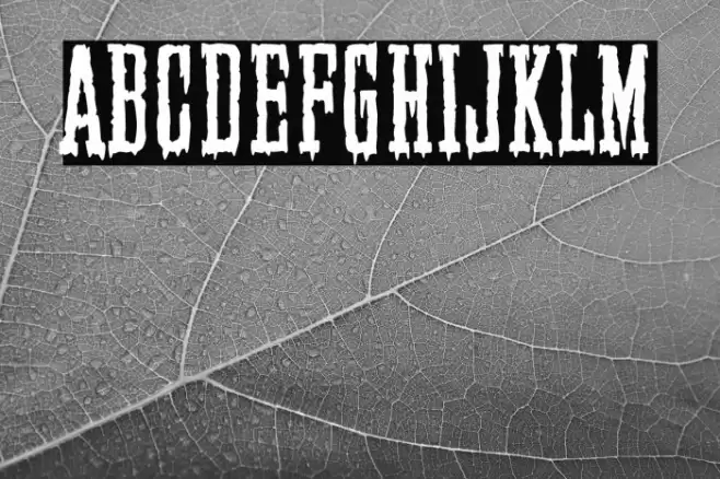 Elegant & Creepy Company Font examples