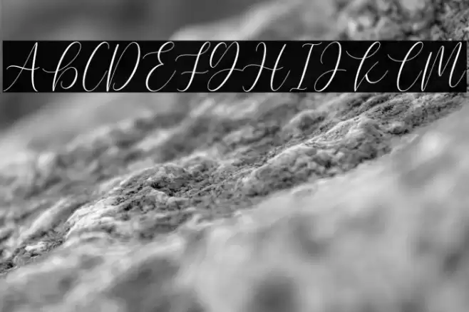 Elegant DEMO Font examples