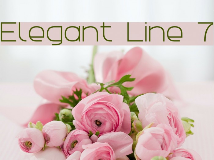 Elegant Line 7 Font examples