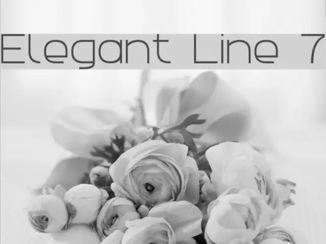 Elegant Line 7 Example 1