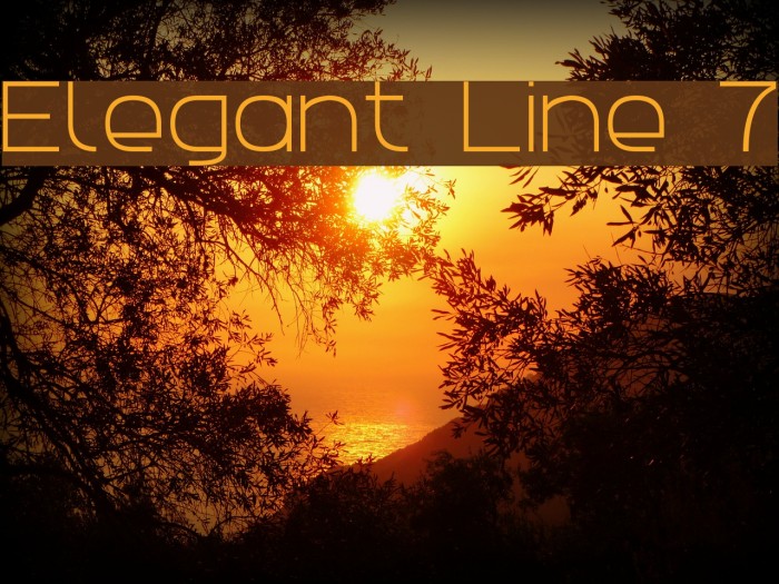 Elegant Line 7 Font examples