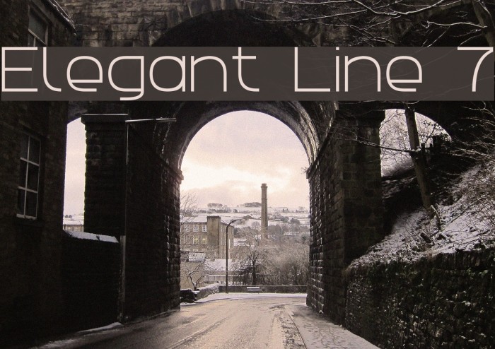 Elegant Line 7 Font examples