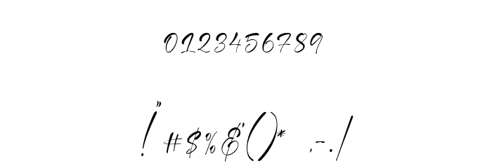Elegant Signature Font OTHER CHARS