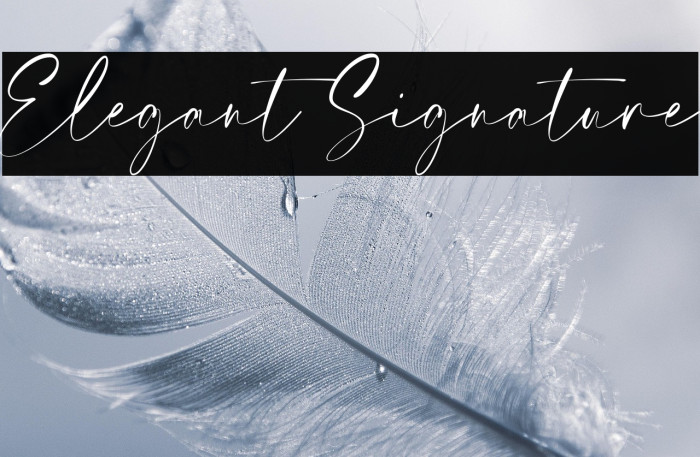 Elegant Signature Example 1