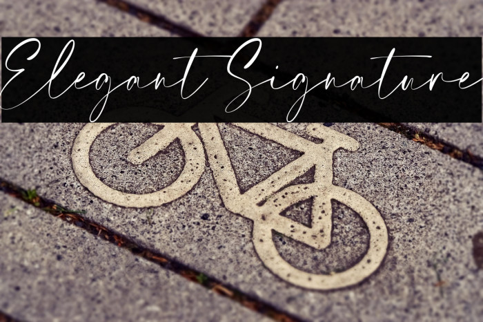 Elegant Signature Example 2