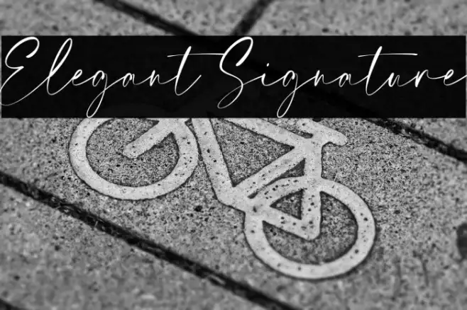 Elegant Signature Example 2