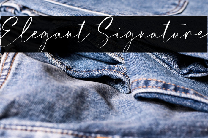 Elegant Signature Example 3