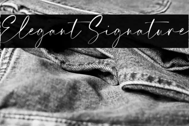 Elegant Signature Example 3
