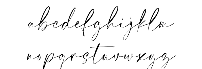 Elegant Signature Font LOWERCASE