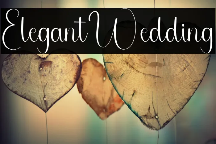 Elegant Wedding Example 1