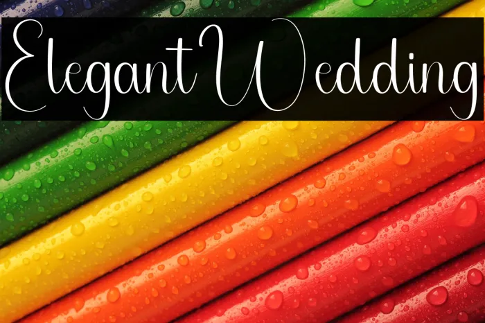 Elegant Wedding Example 2