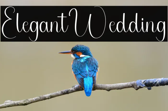 Elegant Wedding Example 3