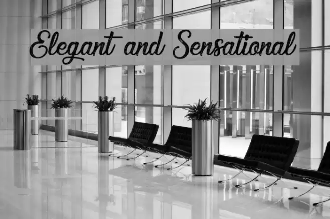 Elegant and Sensational Font examples