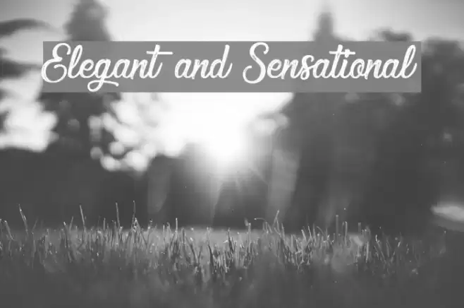 Elegant and Sensational Font examples