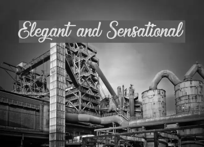 Elegant and Sensational Font examples