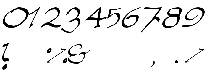 Elegant hand Script Font OTHER CHARS