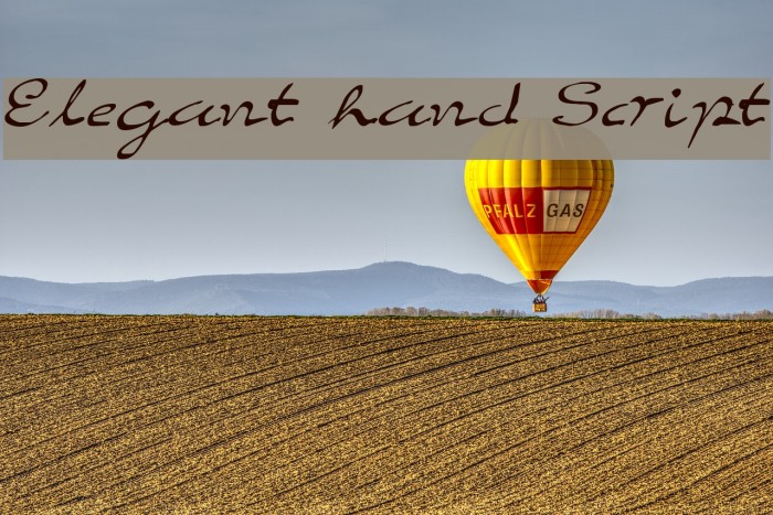 Elegant hand Script Font examples